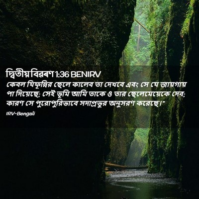 Picture 02 - দ্বিতীয় বিৱৰণ 1:36 BENIRV - কেবল যিফূন্নির - Bible Verse Picture