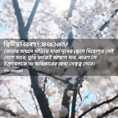 Picture 02 - দ্বিতীয় বিৱৰণ 1:38 BENIRV - তোমার সামনে - Bible Verse Picture