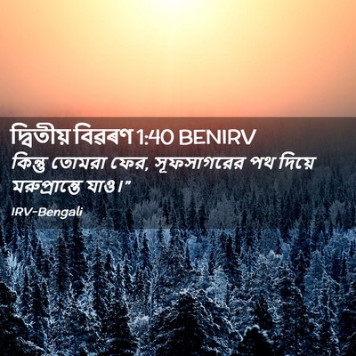 Picture 02 - দ্বিতীয় বিৱৰণ 1:40 BENIRV - কিন্তু তোমরা ফের, - Bible Verse Picture