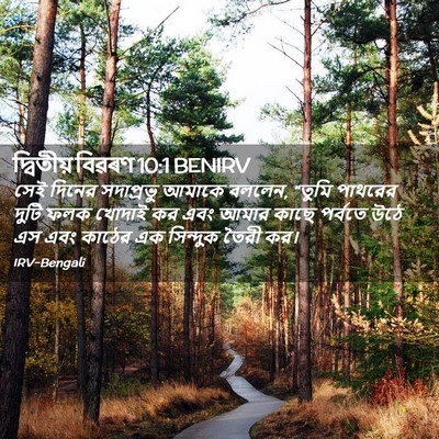 Picture 02 - দ্বিতীয় বিৱৰণ 10:1 BENIRV - সেই দিনের - Bible Verse Picture