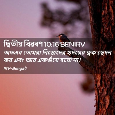 Picture 02 - দ্বিতীয় বিৱৰণ 10:16 BENIRV - অতএব তোমরা - Bible Verse Picture