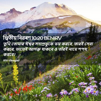Picture 02 - দ্বিতীয় বিৱৰণ 10:20 BENIRV - তুমি তোমার ঈশ্বর - Bible Verse Picture