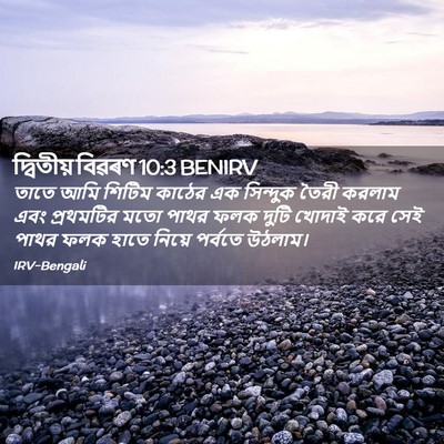 Picture 02 - দ্বিতীয় বিৱৰণ 10:3 BENIRV - তাতে আমি শিটিম - Bible Verse Picture
