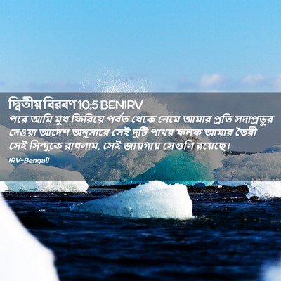 Picture 02 - দ্বিতীয় বিৱৰণ 10:5 BENIRV - পরে আমি মুখ - Bible Verse Picture
