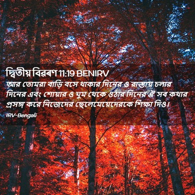 Picture 02 - দ্বিতীয় বিৱৰণ 11:19 BENIRV - আর তোমরা বাড়ি বসে - Bible Verse Picture