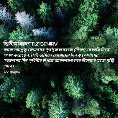 Picture 02 - দ্বিতীয় বিৱৰণ 11:21 BENIRV - তাতে সদাপ্রভু - Bible Verse Picture