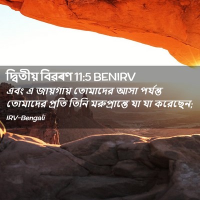 Picture 02 - দ্বিতীয় বিৱৰণ 11:5 BENIRV - এবং এ জায়গায় - Bible Verse Picture