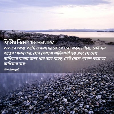 Picture 02 - দ্বিতীয় বিৱৰণ 11:8 BENIRV - অতএব আজ আমি - Bible Verse Picture