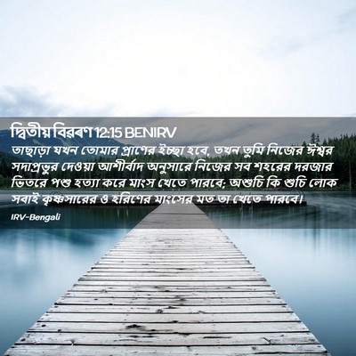 Picture 02 - দ্বিতীয় বিৱৰণ 12:15 BENIRV - তাছাড়া যখন তোমার - Bible Verse Picture