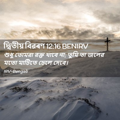 Picture 02 - দ্বিতীয় বিৱৰণ 12:16 BENIRV - শুধু তোমরা রক্ত - Bible Verse Picture