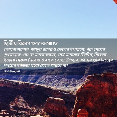 Picture 02 - দ্বিতীয় বিৱৰণ 12:17 BENIRV - তোমরা শস্যের, - Bible Verse Picture