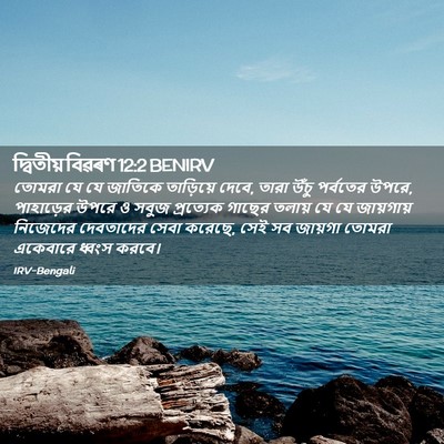 Picture 02 - দ্বিতীয় বিৱৰণ 12:2 BENIRV - তোমরা যে যে জাতিকে - Bible Verse Picture