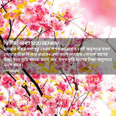 Picture 02 - দ্বিতীয় বিৱৰণ 12:20 BENIRV - তোমার ঈশ্বর - Bible Verse Picture