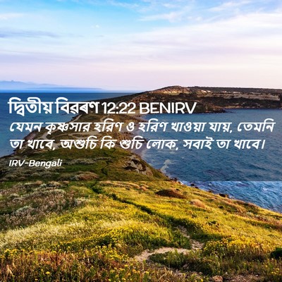 Picture 02 - দ্বিতীয় বিৱৰণ 12:22 BENIRV - যেমন কৃষ্ণসার - Bible Verse Picture