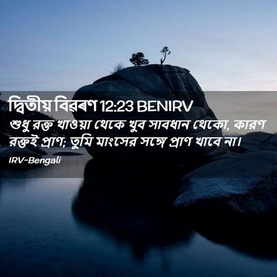 Picture 02 - দ্বিতীয় বিৱৰণ 12:23 BENIRV - শুধু রক্ত খাওয়া - Bible Verse Picture