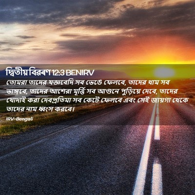 Picture 02 - দ্বিতীয় বিৱৰণ 12:3 BENIRV - তোমরা তাদের - Bible Verse Picture