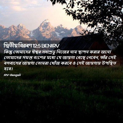 Picture 02 - দ্বিতীয় বিৱৰণ 12:5 BENIRV - কিন্তু তোমাদের - Bible Verse Picture