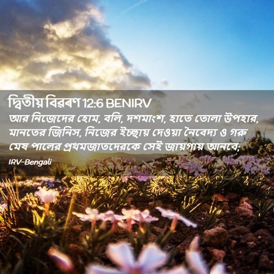 Picture 02 - দ্বিতীয় বিৱৰণ 12:6 BENIRV - আর নিজেদের হোম, - Bible Verse Picture