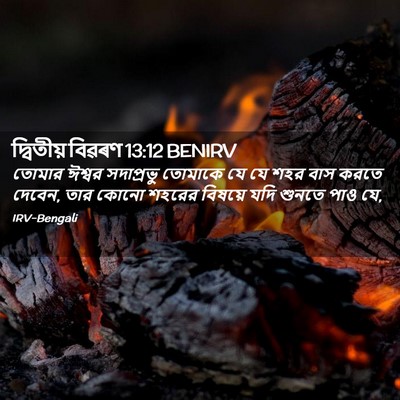 Picture 02 - দ্বিতীয় বিৱৰণ 13:12 BENIRV - তোমার ঈশ্বর - Bible Verse Picture