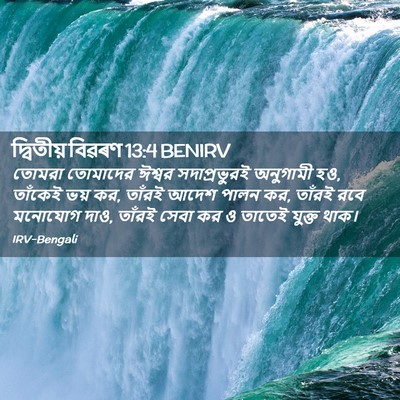 Picture 02 - দ্বিতীয় বিৱৰণ 13:4 BENIRV - তোমরা তোমাদের - Bible Verse Picture