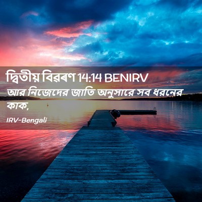 Picture 02 - দ্বিতীয় বিৱৰণ 14:14 BENIRV - আর নিজেদের জাতি - Bible Verse Picture