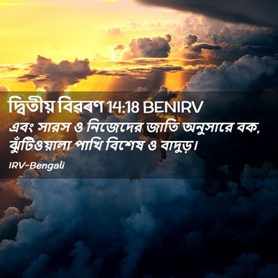 Picture 02 - দ্বিতীয় বিৱৰণ 14:18 BENIRV - এবং সারস ও নিজেদের - Bible Verse Picture