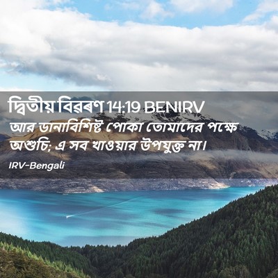 Picture 02 - দ্বিতীয় বিৱৰণ 14:19 BENIRV - আর ডানাবিশিষ্ট - Bible Verse Picture