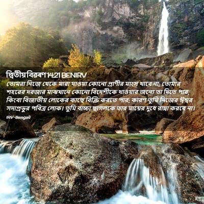 Picture 02 - দ্বিতীয় বিৱৰণ 14:21 BENIRV - তোমরা নিজে থেকে - Bible Verse Picture