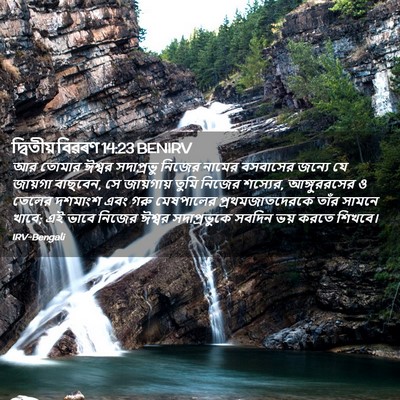 Picture 02 - দ্বিতীয় বিৱৰণ 14:23 BENIRV - আর তোমার ঈশ্বর - Bible Verse Picture