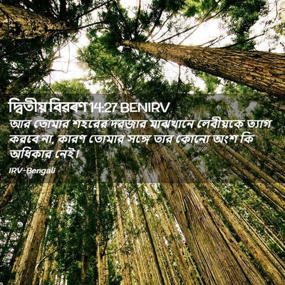 Picture 02 - দ্বিতীয় বিৱৰণ 14:27 BENIRV - আর তোমার শহরের - Bible Verse Picture