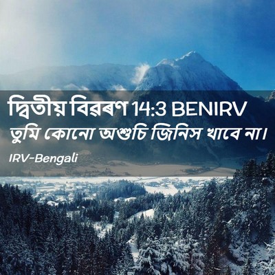 Picture 02 - দ্বিতীয় বিৱৰণ 14:3 BENIRV - তুমি কোনো অশুচি - Bible Verse Picture