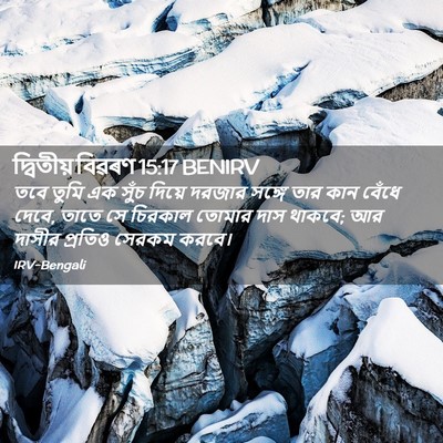 Picture 02 - দ্বিতীয় বিৱৰণ 15:17 BENIRV - তবে তুমি এক সুঁচ - Bible Verse Picture