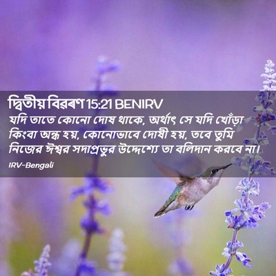 Picture 02 - দ্বিতীয় বিৱৰণ 15:21 BENIRV - যদি তাতে কোনো দোষ - Bible Verse Picture