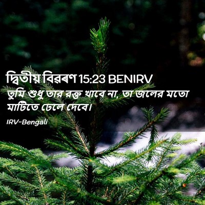 Picture 02 - দ্বিতীয় বিৱৰণ 15:23 BENIRV - তুমি শুধু তার রক্ত - Bible Verse Picture
