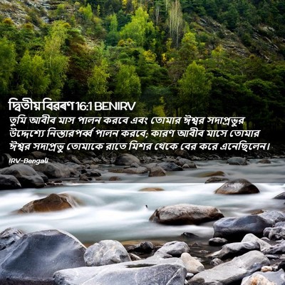 Picture 02 - দ্বিতীয় বিৱৰণ 16:1 BENIRV - তুমি আবীব মাস পালন - Bible Verse Picture
