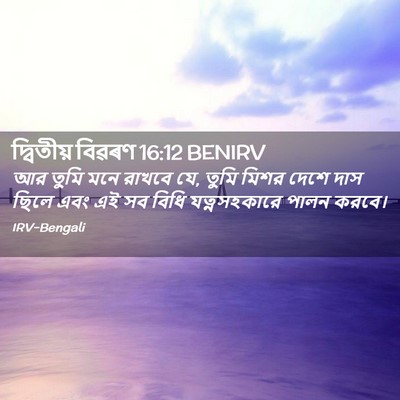 Picture 02 - দ্বিতীয় বিৱৰণ 16:12 BENIRV - আর তুমি মনে রাখবে - Bible Verse Picture