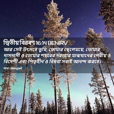 Picture 02 - দ্বিতীয় বিৱৰণ 16:14 BENIRV - আর সেই উৎসবে তুমি, - Bible Verse Picture