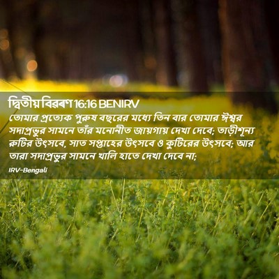 Picture 02 - দ্বিতীয় বিৱৰণ 16:16 BENIRV - তোমার প্রত্যেক - Bible Verse Picture