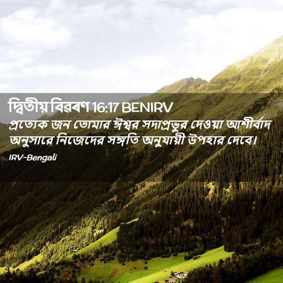 Picture 02 - দ্বিতীয় বিৱৰণ 16:17 BENIRV - প্রত্যেক জন তোমার - Bible Verse Picture