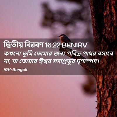 Picture 02 - দ্বিতীয় বিৱৰণ 16:22 BENIRV - কখনো তুমি তোমার - Bible Verse Picture