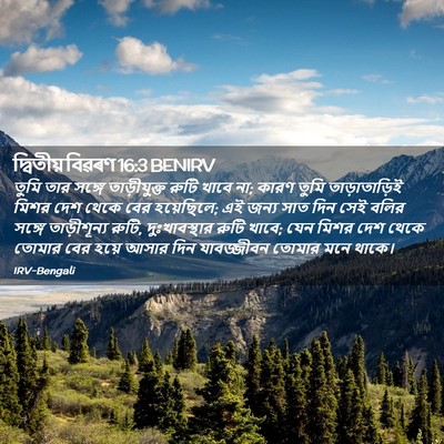 Picture 02 - দ্বিতীয় বিৱৰণ 16:3 BENIRV - তুমি তার সঙ্গে - Bible Verse Picture