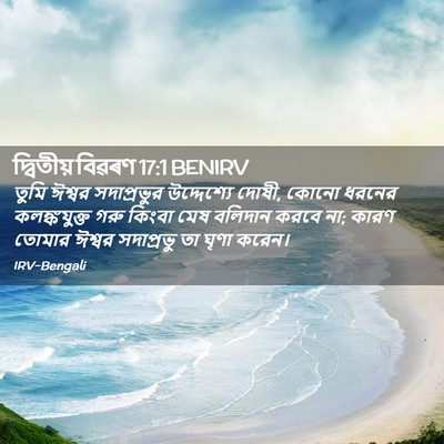 Picture 02 - দ্বিতীয় বিৱৰণ 17:1 BENIRV - তুমি ঈশ্বর - Bible Verse Picture