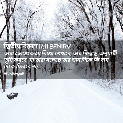 Picture 02 - দ্বিতীয় বিৱৰণ 17:11 BENIRV - তারা তোমাকে যে - Bible Verse Picture
