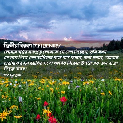 Picture 02 - দ্বিতীয় বিৱৰণ 17:14 BENIRV - তোমার ঈশ্বর - Bible Verse Picture