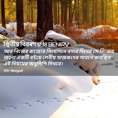 Picture 02 - দ্বিতীয় বিৱৰণ 17:18 BENIRV - আর নিজের রাজ্যের - Bible Verse Picture