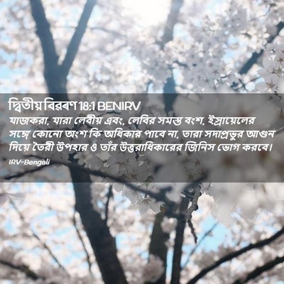Picture 02 - দ্বিতীয় বিৱৰণ 18:1 BENIRV - যাজকরা, যারা - Bible Verse Picture