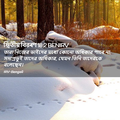 Picture 02 - দ্বিতীয় বিৱৰণ 18:2 BENIRV - তারা নিজের ভাইদের - Bible Verse Picture