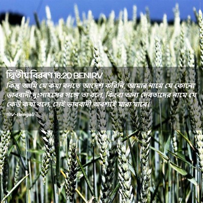 Picture 02 - দ্বিতীয় বিৱৰণ 18:20 BENIRV - কিন্তু আমি যে কথা - Bible Verse Picture