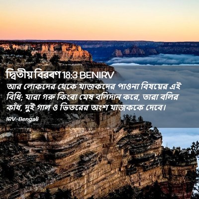 Picture 02 - দ্বিতীয় বিৱৰণ 18:3 BENIRV - আর লোকদের থেকে - Bible Verse Picture