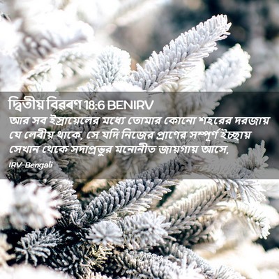 Picture 02 - দ্বিতীয় বিৱৰণ 18:6 BENIRV - আর সব ইস্রায়েলের - Bible Verse Picture